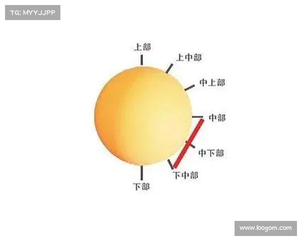 网球比赛技术分析：从发球到接发球的全方位技巧与策略解析